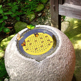 4-Pack Floating Bee Waterer Islands – Safe Drinking Station for Bees & Butterflies, Garden Pollinator Support